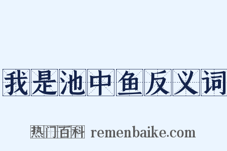 我是池中鱼反义词是什么意思的图片